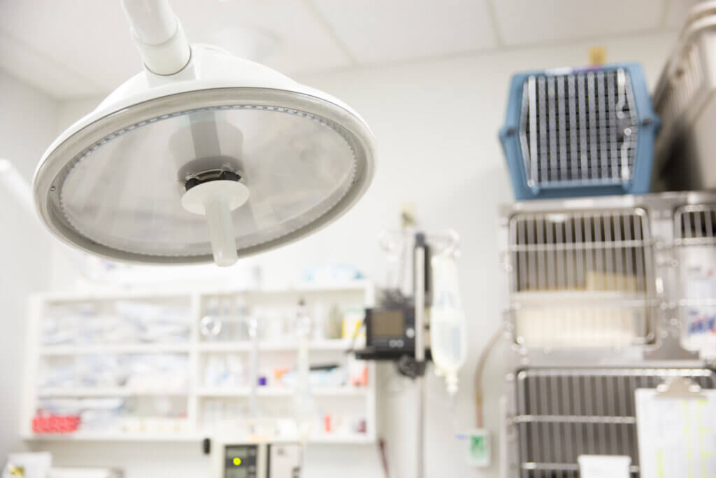 Kenmore Veterinary Hospital