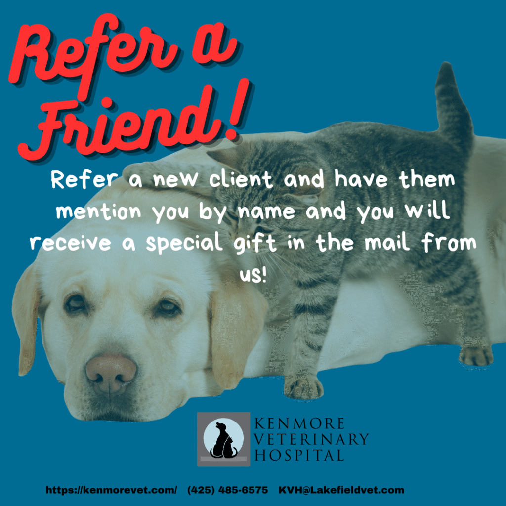 Refer a friend, receive a gift special